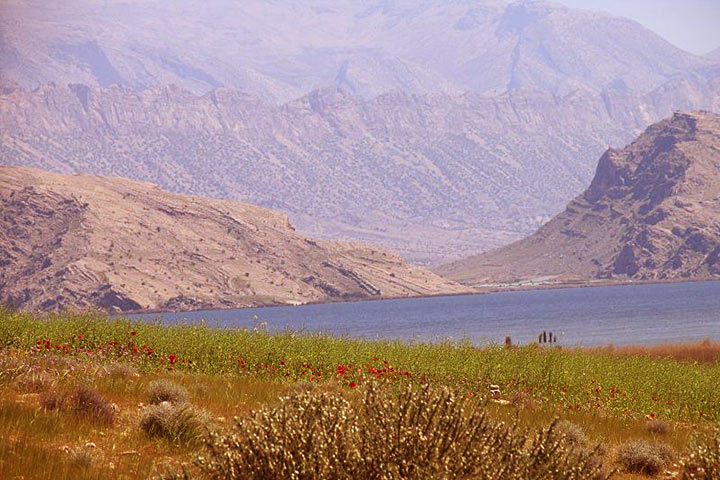 دریاچه پریشان - عکس از فرید عطار - دشت ارژن